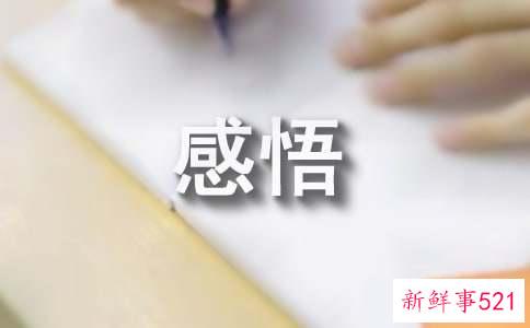 劳动的心得与感悟