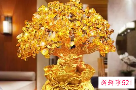 冰箱上放什么东西可以招财聚财