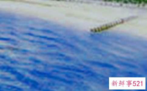 梦见晚霞美景并拍照是什么意思