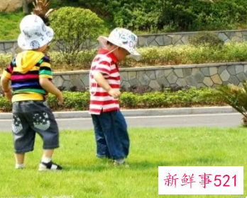 3—6岁儿童发展指南科学领域内容