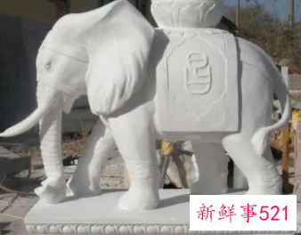 两只象的寓意和象征