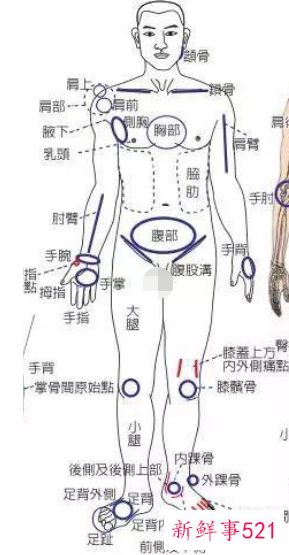 人体背部疼痛对应器官