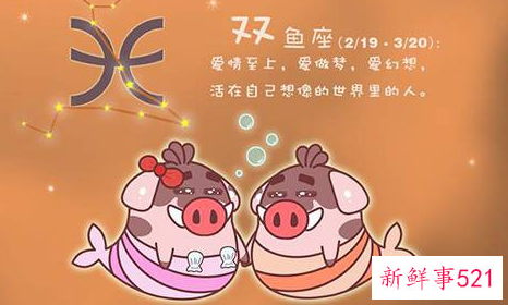 十二星座配哪个小宠物