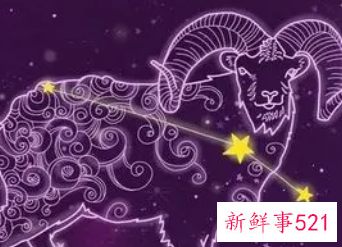 白羊男想复合会做什么