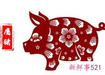 2019年出生属猪什么命