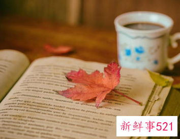 qq个性昵称女生