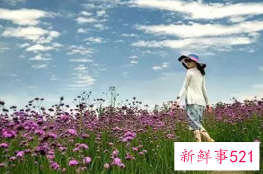 梦见和同学去旅游