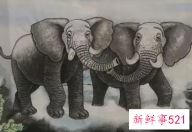 两只象的寓意和象征