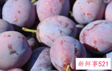 新鲜的西梅的功效与作用禁忌