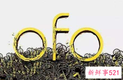 公司的发展前景的影响因素