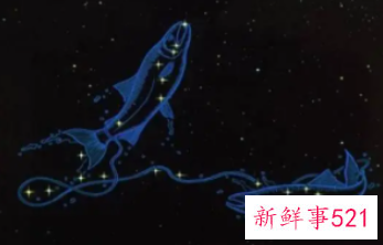 十二星座会不会被现实生活黑化