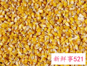 玉米含有麦麸吗