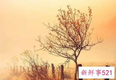 遇到困难和挫折怎么办