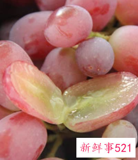 红提功效与作用及禁忌