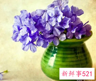 好听又聚财的网名两个字