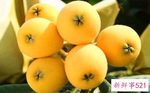 枇杷蜜的功效与作用