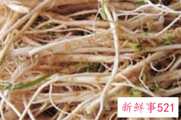 荠菜根的功效与作用