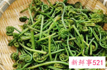 山蕨菜的功效作用及危害