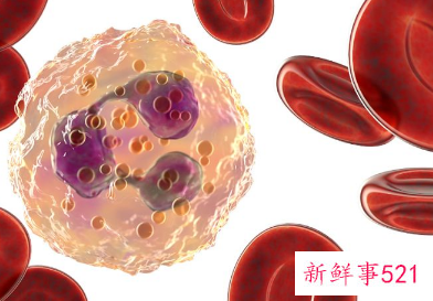 新生儿地中海贫血初筛阳性是什么