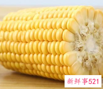 小麦和玉米哪个营养高