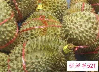 海南哪里产榴莲