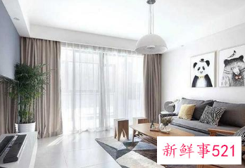 客厅白墙配什么颜色沙发