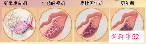 卵巢癌1a期是怎么回事