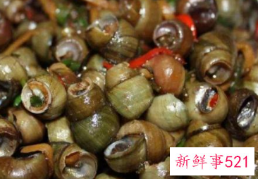 田螺吃什么食物