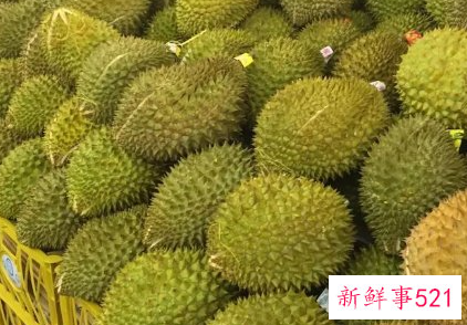 海南哪里产榴莲