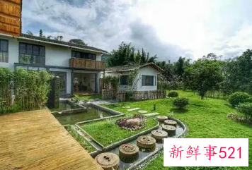 五一假期乡村民宿量价齐涨,露营相关服务火热