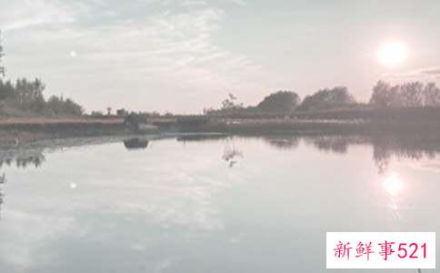 梦见水塘鱼塘什么意思