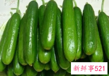 脆瓜和黄瓜的区别