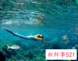 梦见美人鱼在水里游是什么意思