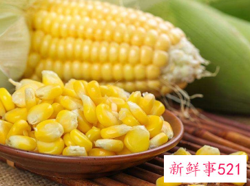 小麦和玉米哪个营养高