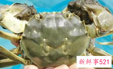 香辣大闸蟹的做法步骤窍门