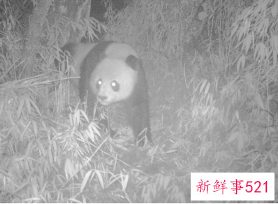 我国生物多样性保护成效如何