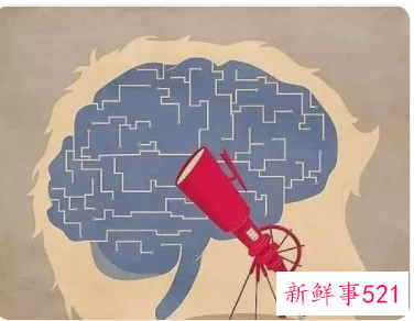 智商低认识能力差反应慢