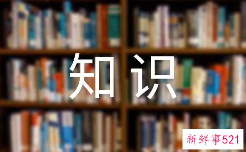 排球技术的知识