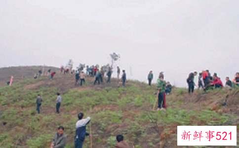 梦见拜山扫墓周预示着什么