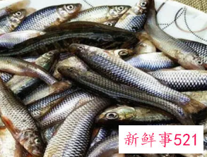 9种食物提高智力