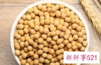 大豆和黄豆的区别图片