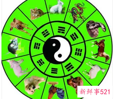 属鼠的婚配属相有哪些