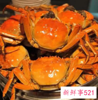 螃蟹相宜相克食物表