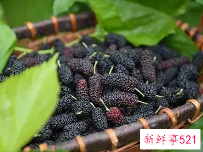 桑葚的功效及作用