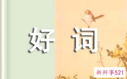 作文好词好句摘抄初中
