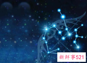 射手座聪明程度