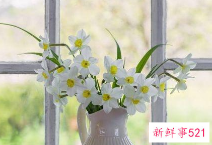 过新年家里摆什么招财