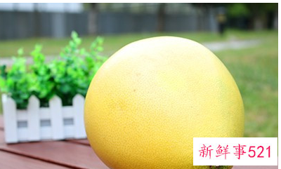 柚子的含义有哪些