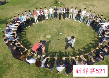 团队精神心得体会的范文