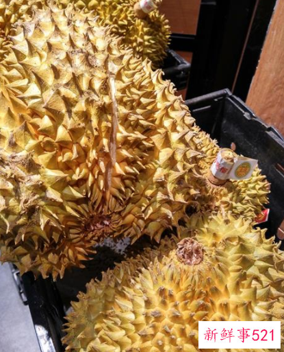 水果吃法技巧大全